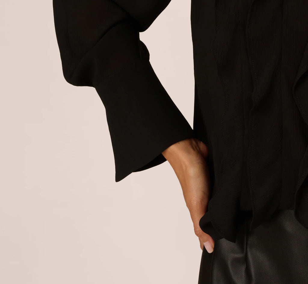 Long Sleeve Sheer Ruffle Front Blouse In Black
