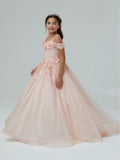 Glitter Tulle and Lace Off-The-Shoulder Gown