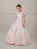 Puff Sleeve Sequin Scoop Neck A-Line Gown