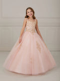 Metallic Lace and Tulle Scoop Neck A-Line Gown