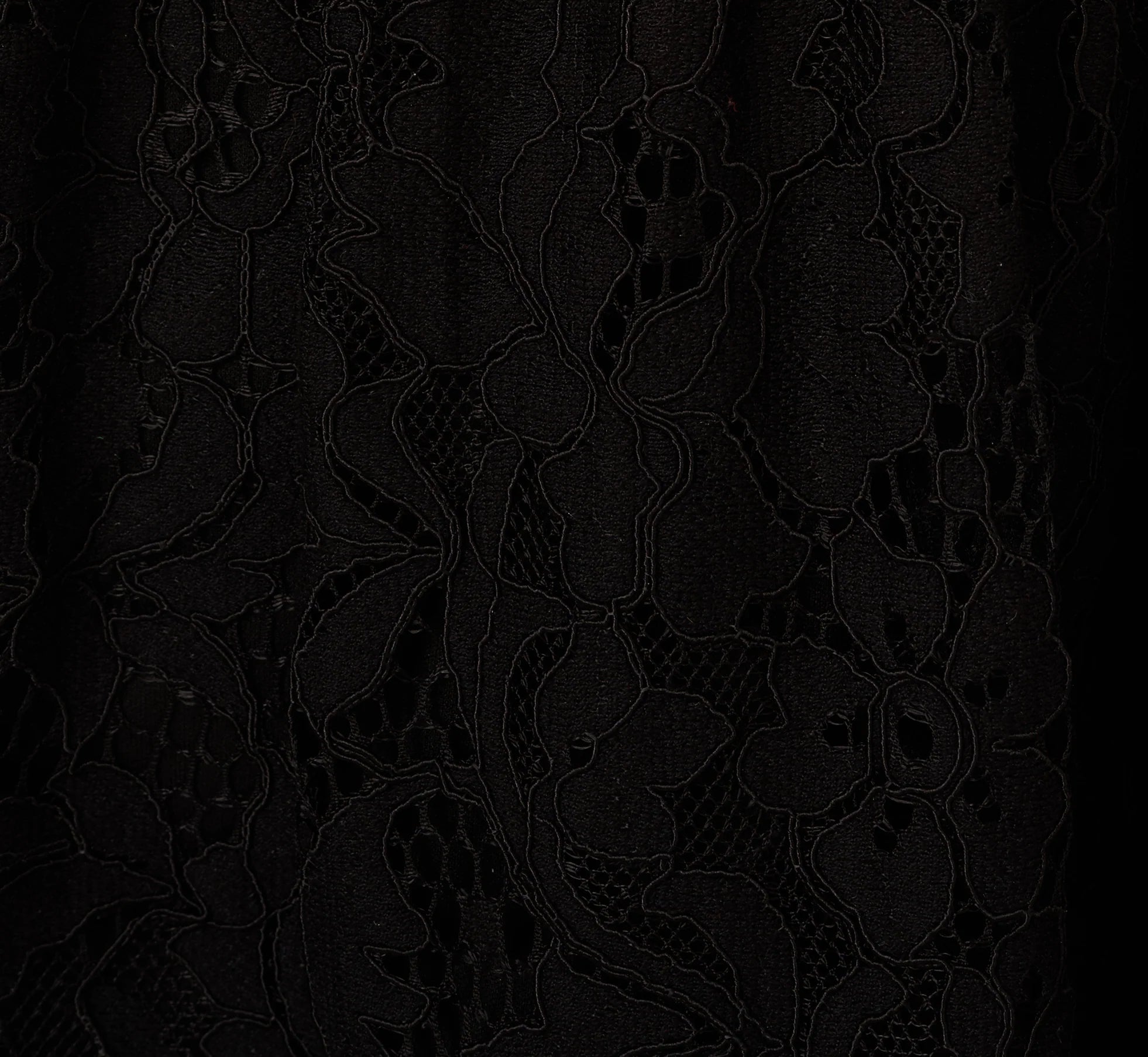 Sleeveless Collared Lace Fit And Flare Dress In Black