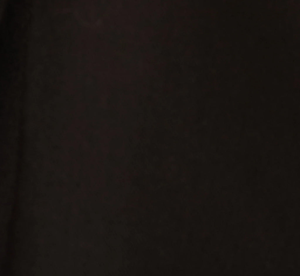 Wide Leg Pleated Trouser In Black