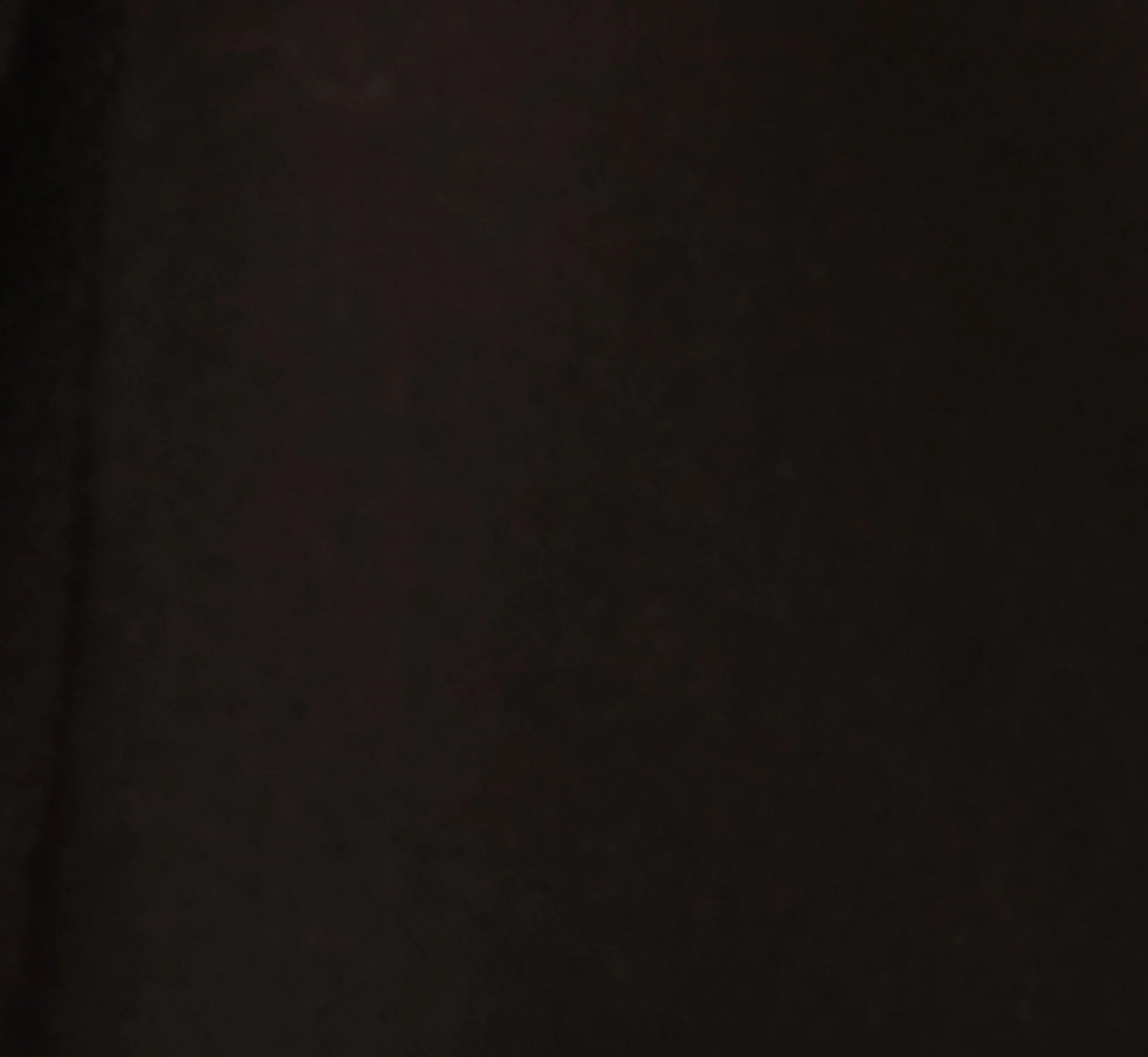 Wide Leg Pleated Trouser In Black
